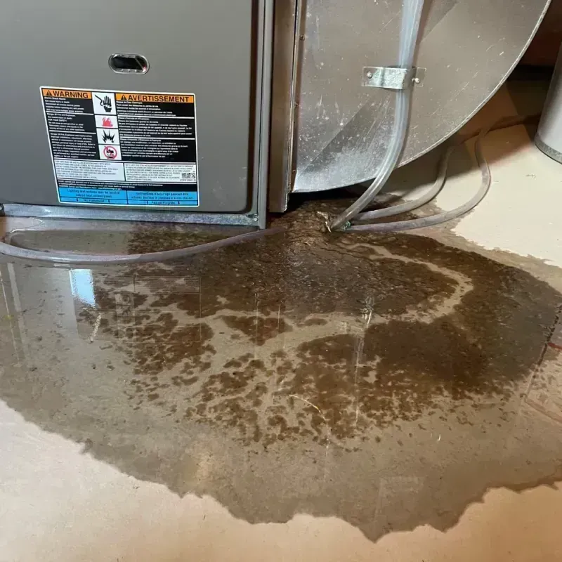 Appliance Leak Cleanup in Cave Creek, AZ